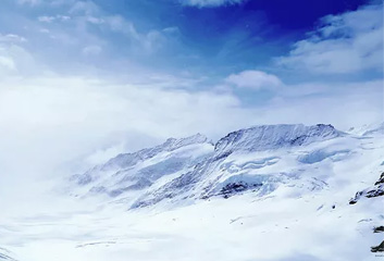 素材名称