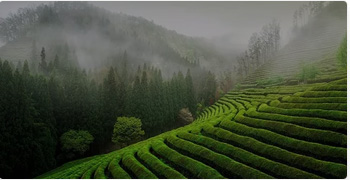 自然风景