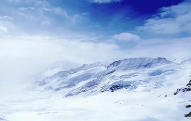 素材名称